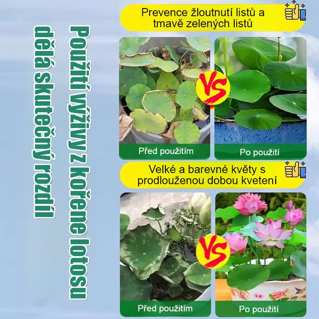 Speciální živný roztok pro lotos