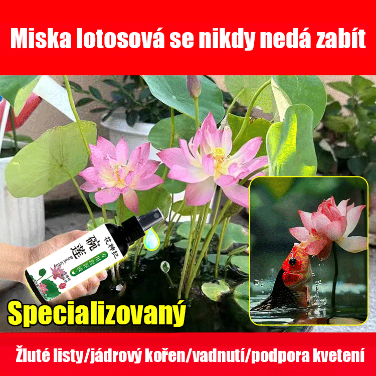 Speciální živný roztok pro lotos